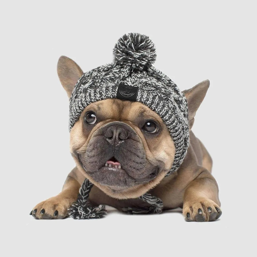 Warm Winter Pet Hat